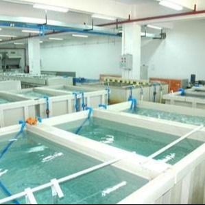 OEM ODM Electrophoresis Coating Solution Industrial Coating